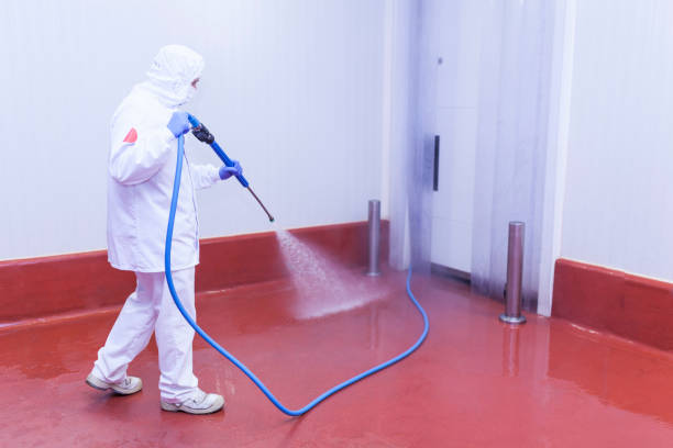 Paint Preparation in Houghton, NY